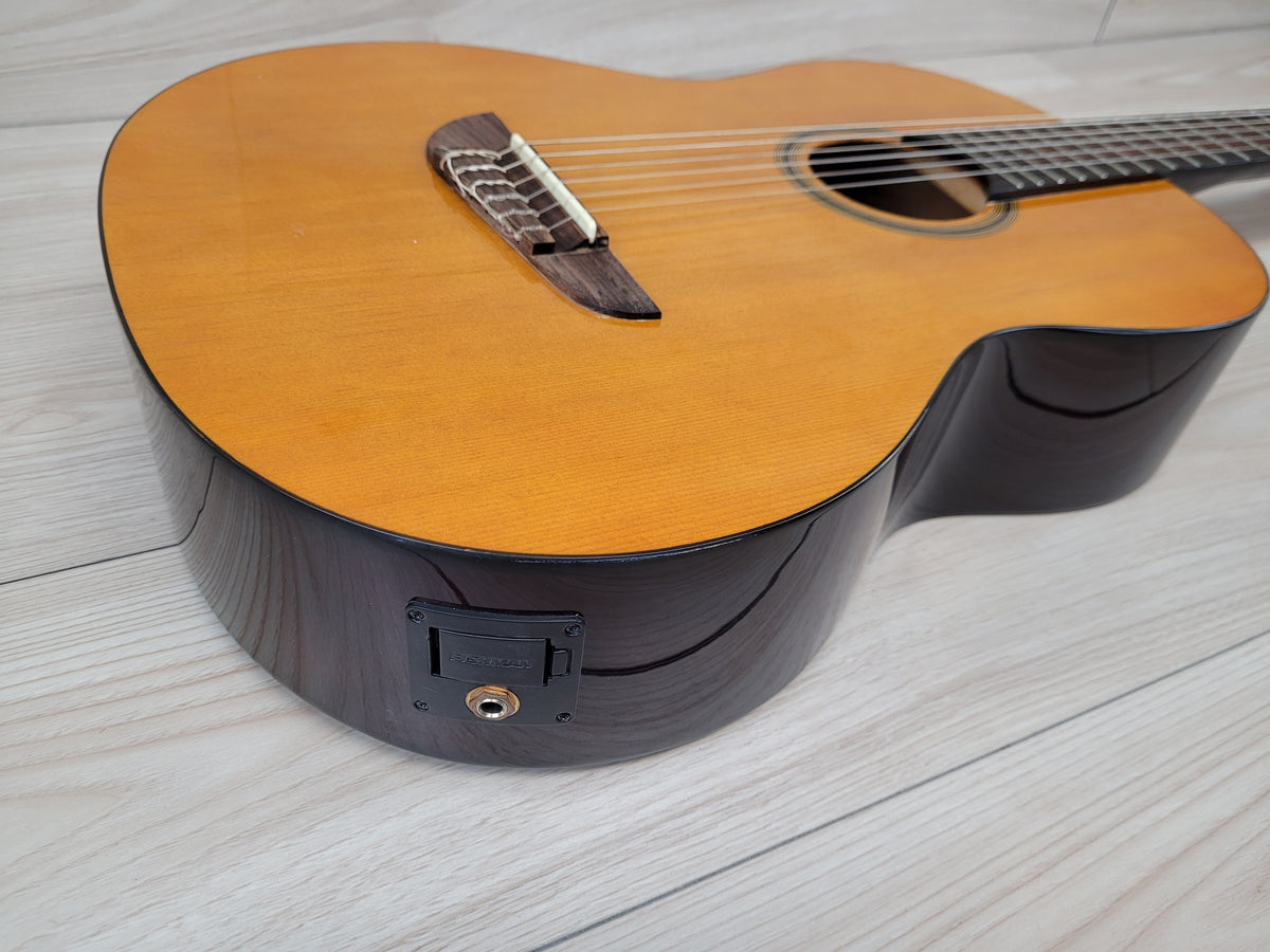 Eko Guitars Sparkling Flame Series Acoustic Electric Guitar Nylon Strings - Natural