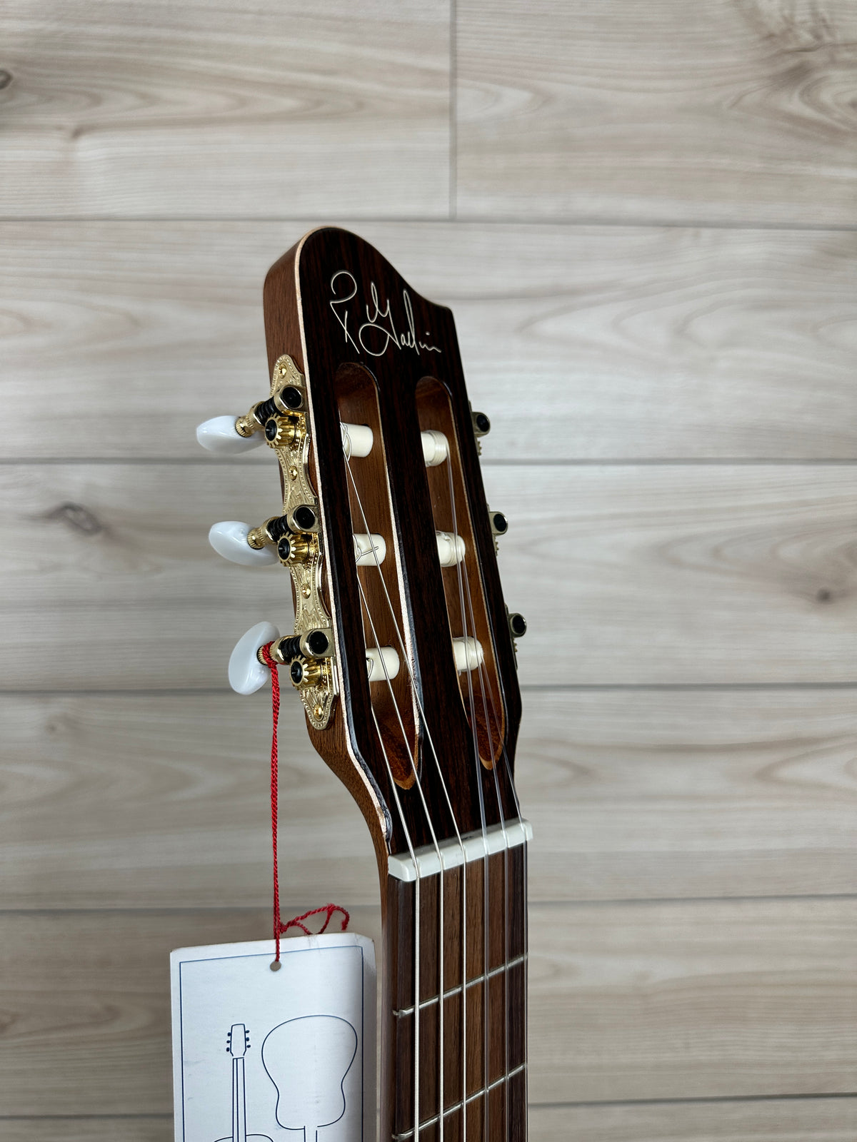 Godin Arena Cutaway Clasica II Acoustic Electric Classical Nylon Guitar - #0320