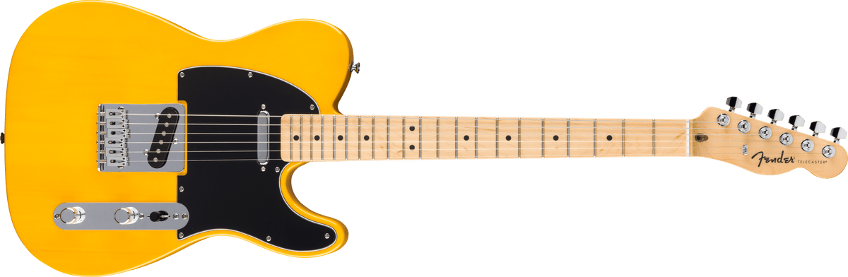 Fender Standard Telecaster Maple Fingerboard Electric Guitar, Butterscotch Blonde - CBN Music Warehouse
