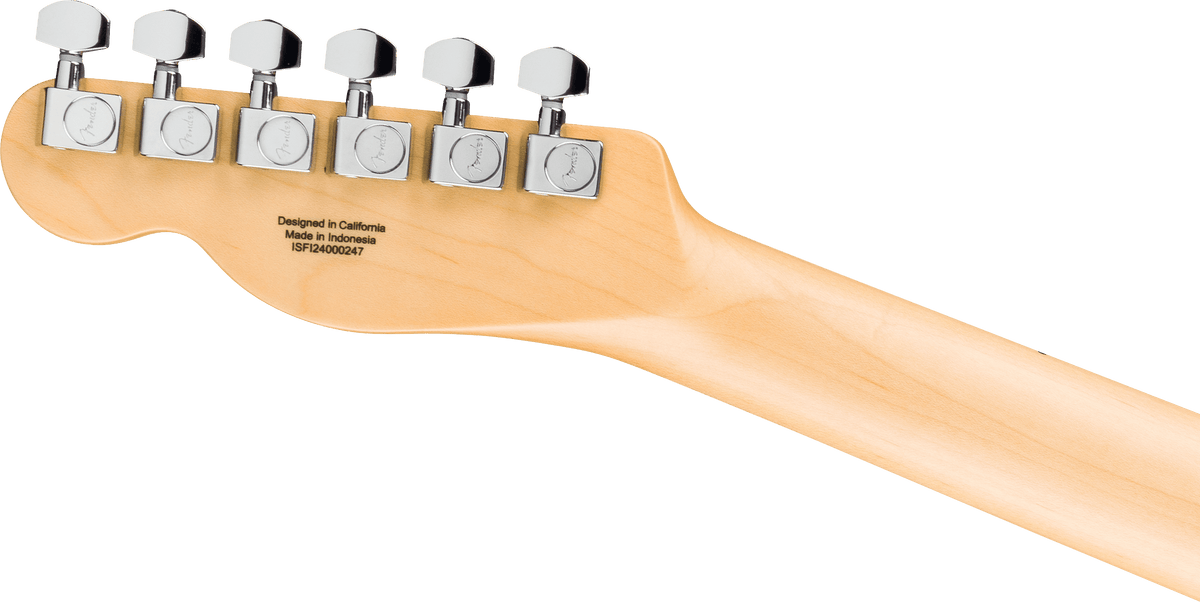 Fender Standard Telecaster Maple Fingerboard Electric Guitar, Butterscotch Blonde - CBN Music Warehouse