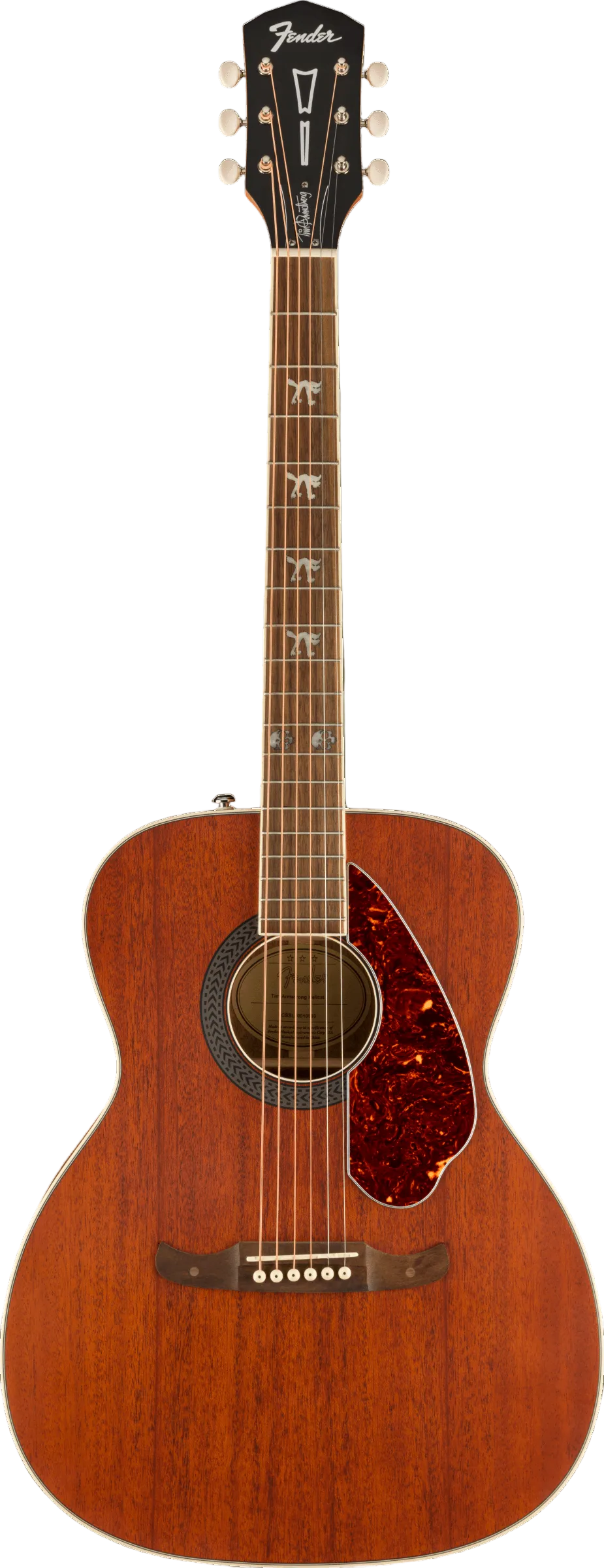 Acoustic guitar with a brown finish on a green background