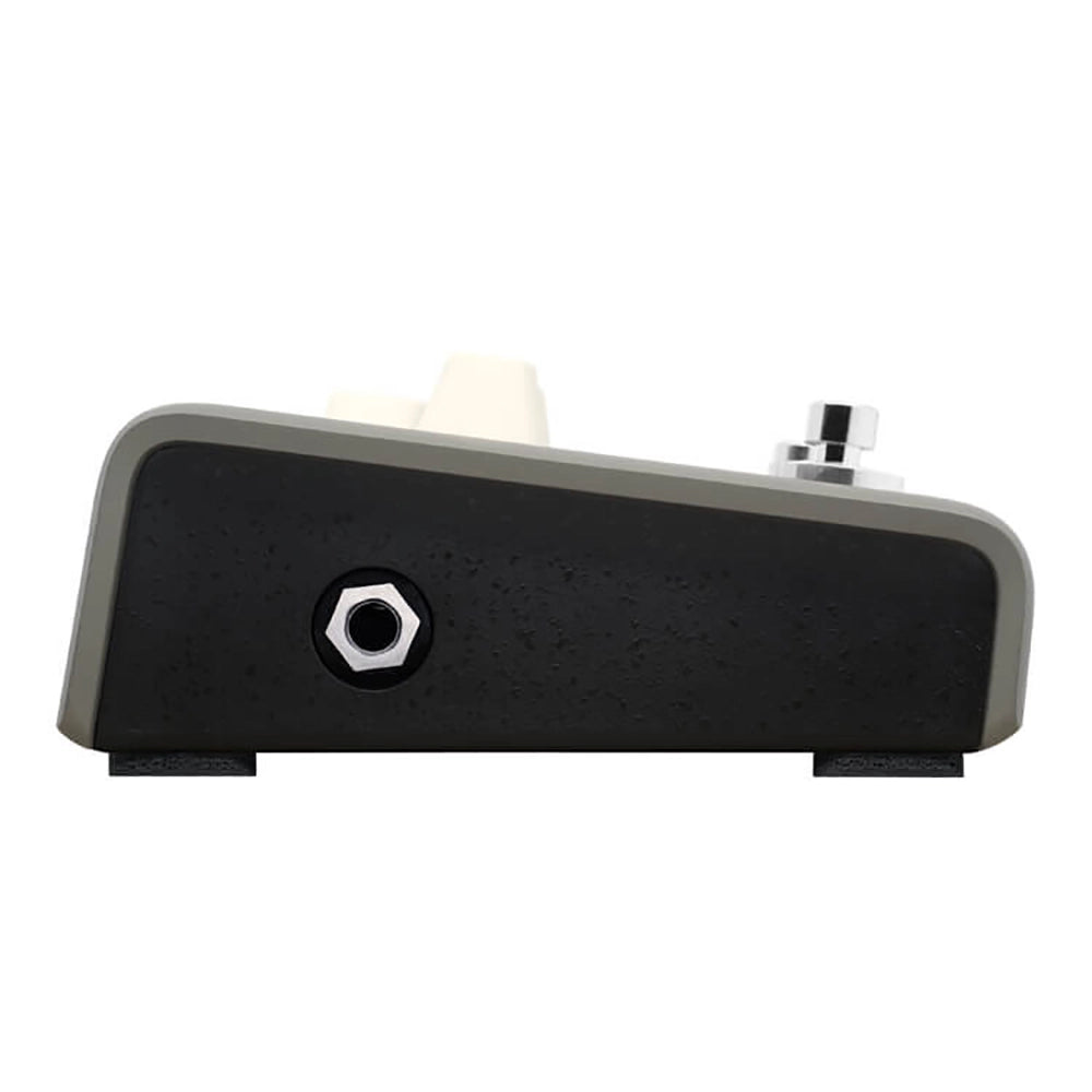 LR Baggs Voiceprint Di Acoustic Guitar Impulse Response Pedal Direct Box - CBN Music Warehouse