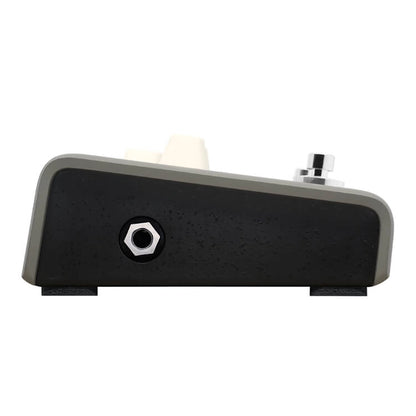 LR Baggs Voiceprint Di Acoustic Guitar Impulse Response Pedal Direct Box - CBN Music Warehouse