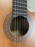 Ortega MADE IN SPAIN RCE180T-LTD Limited Edition Classical Acoustic Guitar with GIGBAG - CBN Music Warehouse
