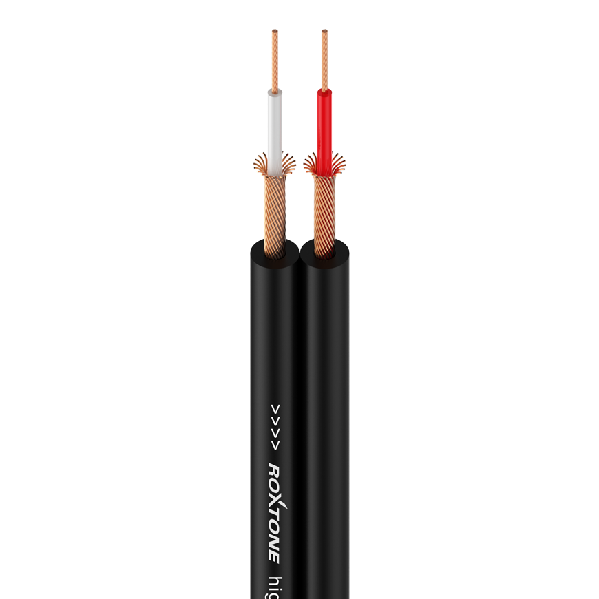 Roxtone RAYC110 Audio Breakout Cable - 6.35mm Jack Stereo Male Plug to Dual RCA Male - 10 foot - CBN Music Warehouse
