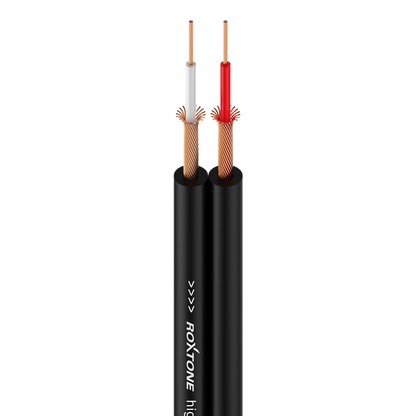 Roxtone RAYC110 Audio Breakout Cable - 6.35mm Jack Stereo Male Plug to Dual RCA Male - 10 foot - CBN Music Warehouse