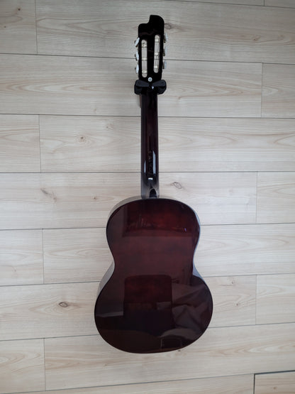 Eko Guitars Sparkling Flame Series Acoustic Electric Guitar Nylon Strings - Natural