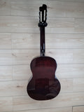 Eko Guitars Sparkling Flame Series Acoustic Electric Guitar Nylon Strings - Natural