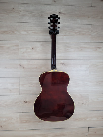 Eko guitar EVO D CW EQ. Natural - CBN Music Warehouse
