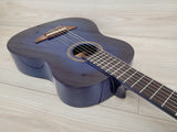 EKO SPARK 1/2 reduced size Classic Guitar - Bluburst - CBN Music Warehouse