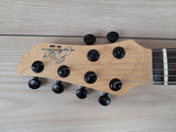 Eko AQUA LITE Electric Guitar
