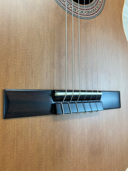 Ortega MADE IN SPAIN RCE180T-LTD Limited Edition Classical Acoustic Guitar with GIGBAG - CBN Music Warehouse
