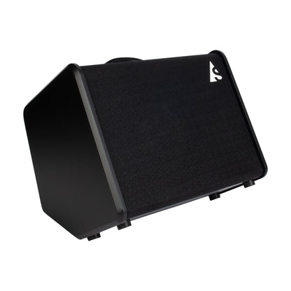 Godin Acoustic Solutions ASG-8 Acoustic Guitar Amplifier (120 Watts) - CBN Music Warehouse