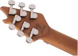 EVH Wolfgang Standard QM Electric Guitar - Northern Lights