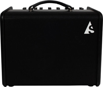 Godin Acoustic Solutions ASG-8 Acoustic Guitar Amplifier (120 Watts) - CBN Music Warehouse