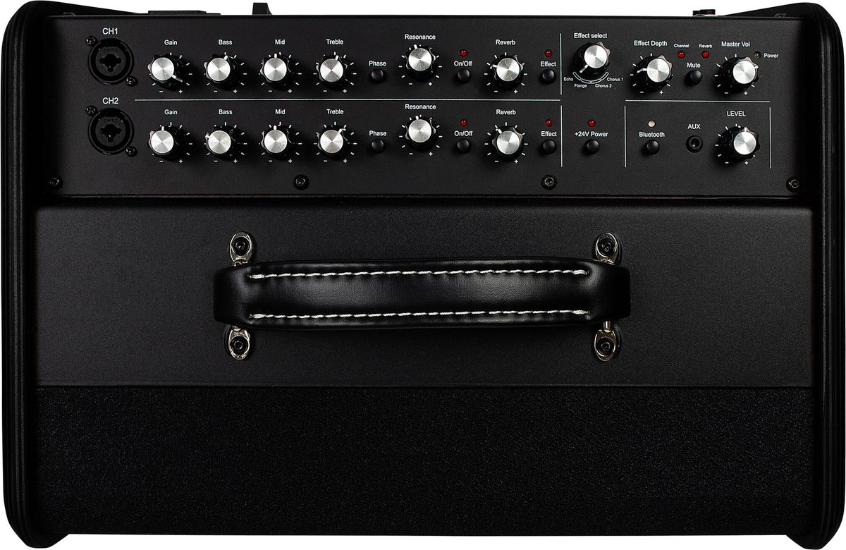 Godin Acoustic Solutions ASG-8 Acoustic Guitar Amplifier (120 Watts) - CBN Music Warehouse