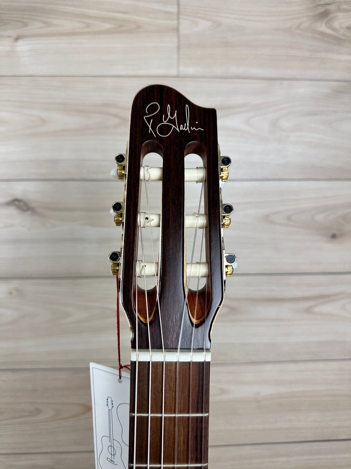 Godin Arena Cutaway Clasica II Acoustic Electric Classical Nylon Guitar - #0320
