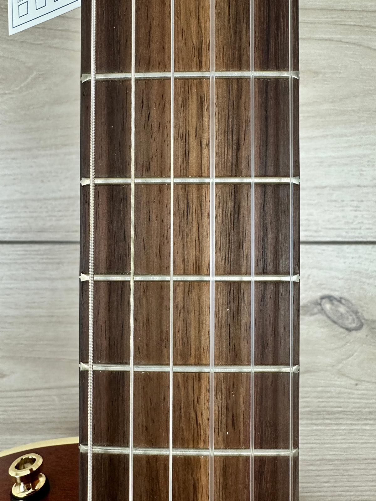 Godin Arena Cutaway Clasica II Acoustic Electric Classical Nylon Guitar - #0320