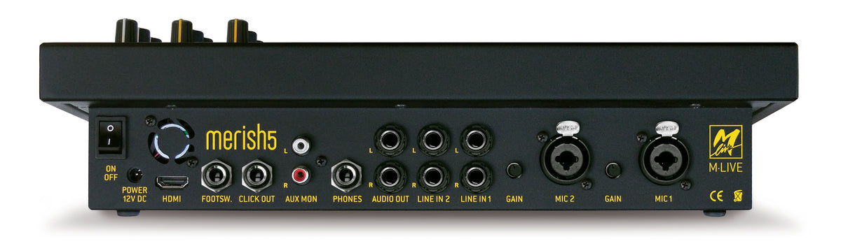 M-Live Merish 5 128GB Stand-alone MIDI Mp3 & video player - CBN Music Warehouse
