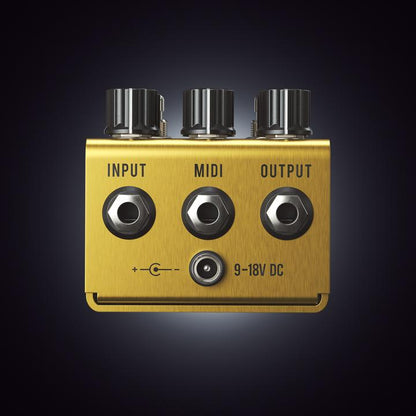 Jackson Audio Golden boy transparent overdrive - CBN Music Warehouse