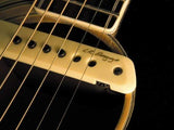 LR Baggs Active Soundhole acoustic  Pickup - CBN Music Warehouse